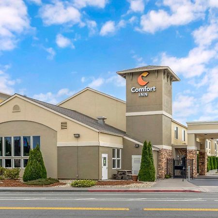 Comfort Inn Arcata Exterior foto